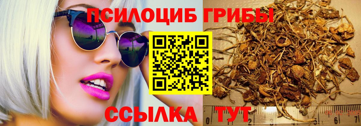 Сердобск  Галлюциногенные грибы GOLDEN TEACHER  Вход с VPN 